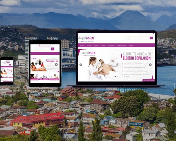 Diseño de página web Puerto Montt